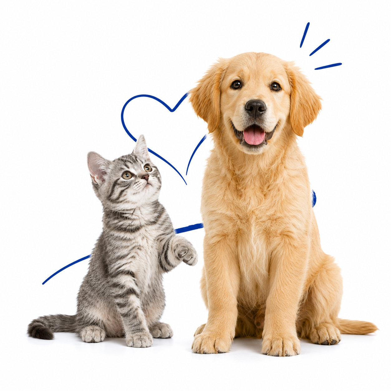 hund_katze_2